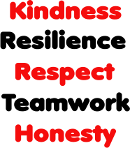 Wiston Primary Values